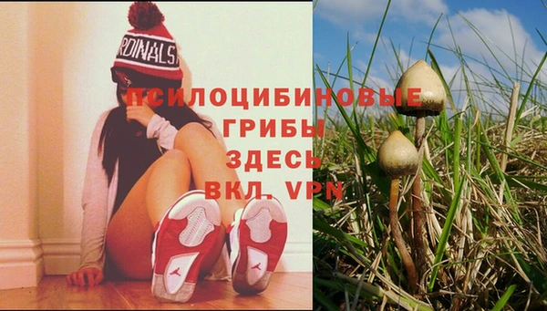 молекула духа Вязники