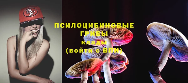 молекула духа Вязники