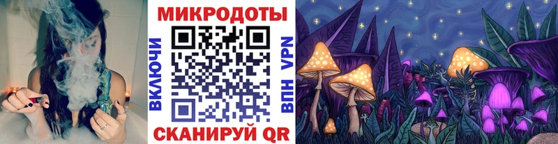 Псилоцибиновые грибы Psilocybine cubensis  Купить закладки  Невель 
